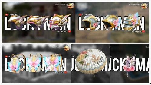 军需新皮肤最新爆料升级枪,枪械美学与实战性能的完美融合 第1张 军需新皮肤最新爆料升级枪,枪械美学与实战性能的完美融合 第1张