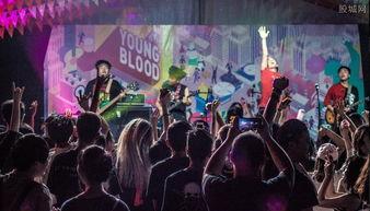 成都视频消费爆料公司,揭秘热门平台背后的消费秘密  第2张