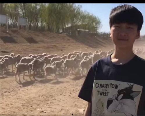 张亮儿子爆料视频大全 第3张 张亮儿子爆料视频大全 第3张